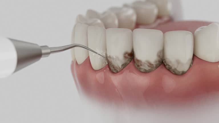 Reliable Dental contractor in Perry, GA by Dentist Open Now